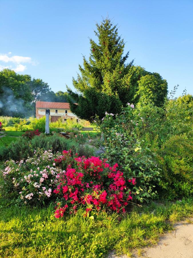 Dvur Dolenec Rohoznice (Hradec Kralove) Exterior foto