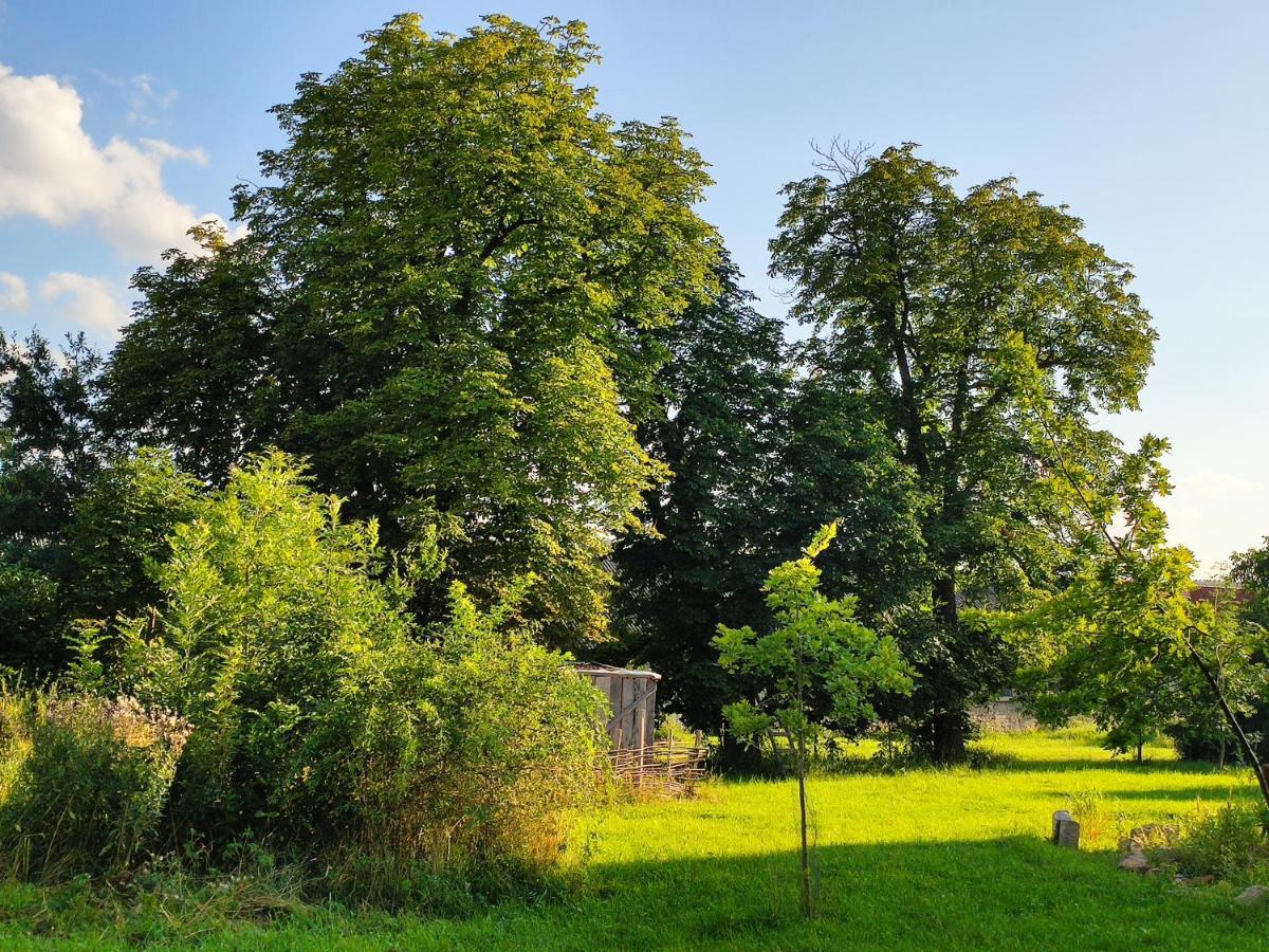 Dvur Dolenec Rohoznice (Hradec Kralove) Exterior foto
